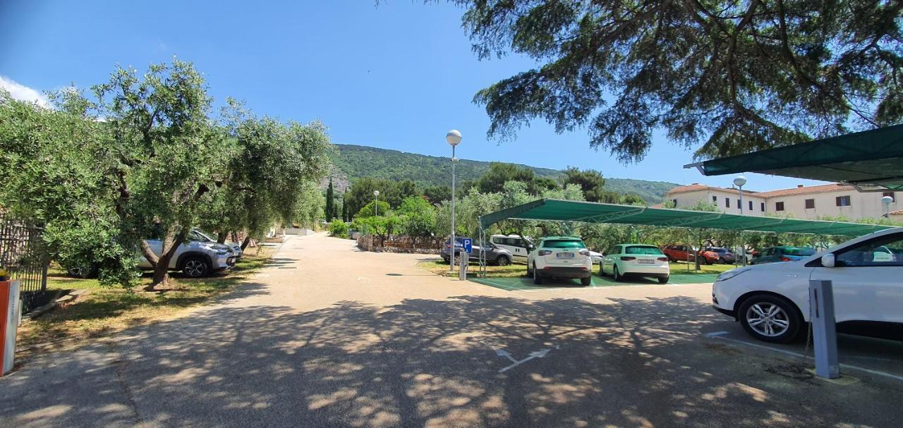Franceska Apartmani Cres Εξωτερικό φωτογραφία
